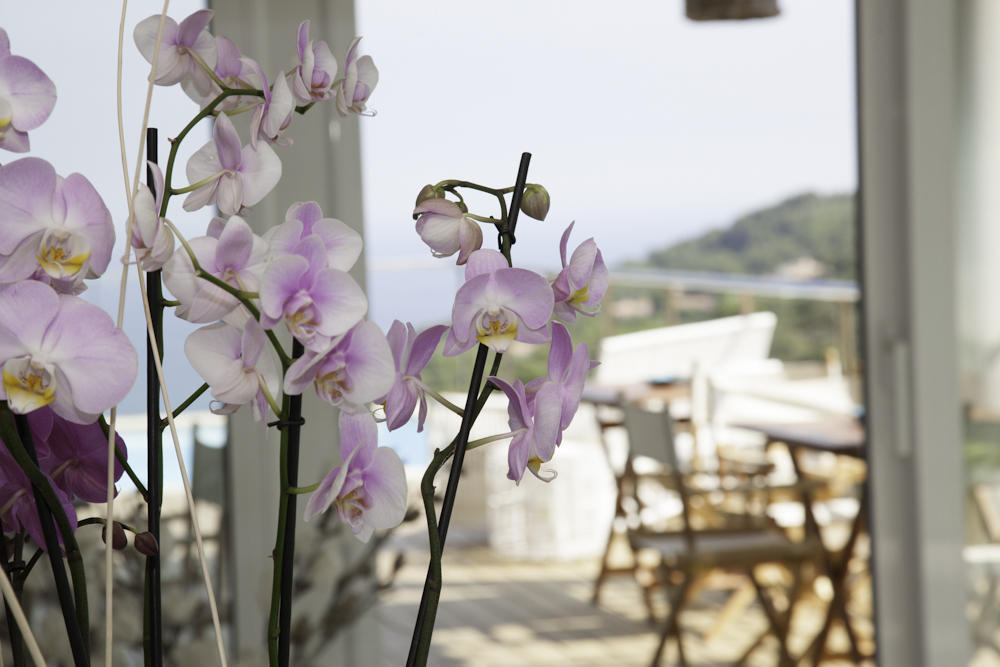 Es Cel De Begur Hotel ห้อง รูปภาพ